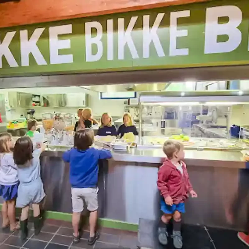 De Brink Bikke-1 800×540 de brink